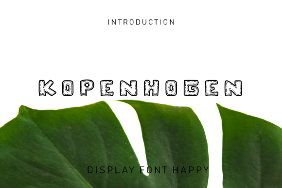 Kopenhogen: The Editorial Designer's Display Font