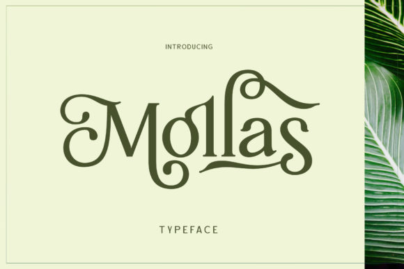 Mollas Font: Giving Your Small Business a Playful Retro Touch